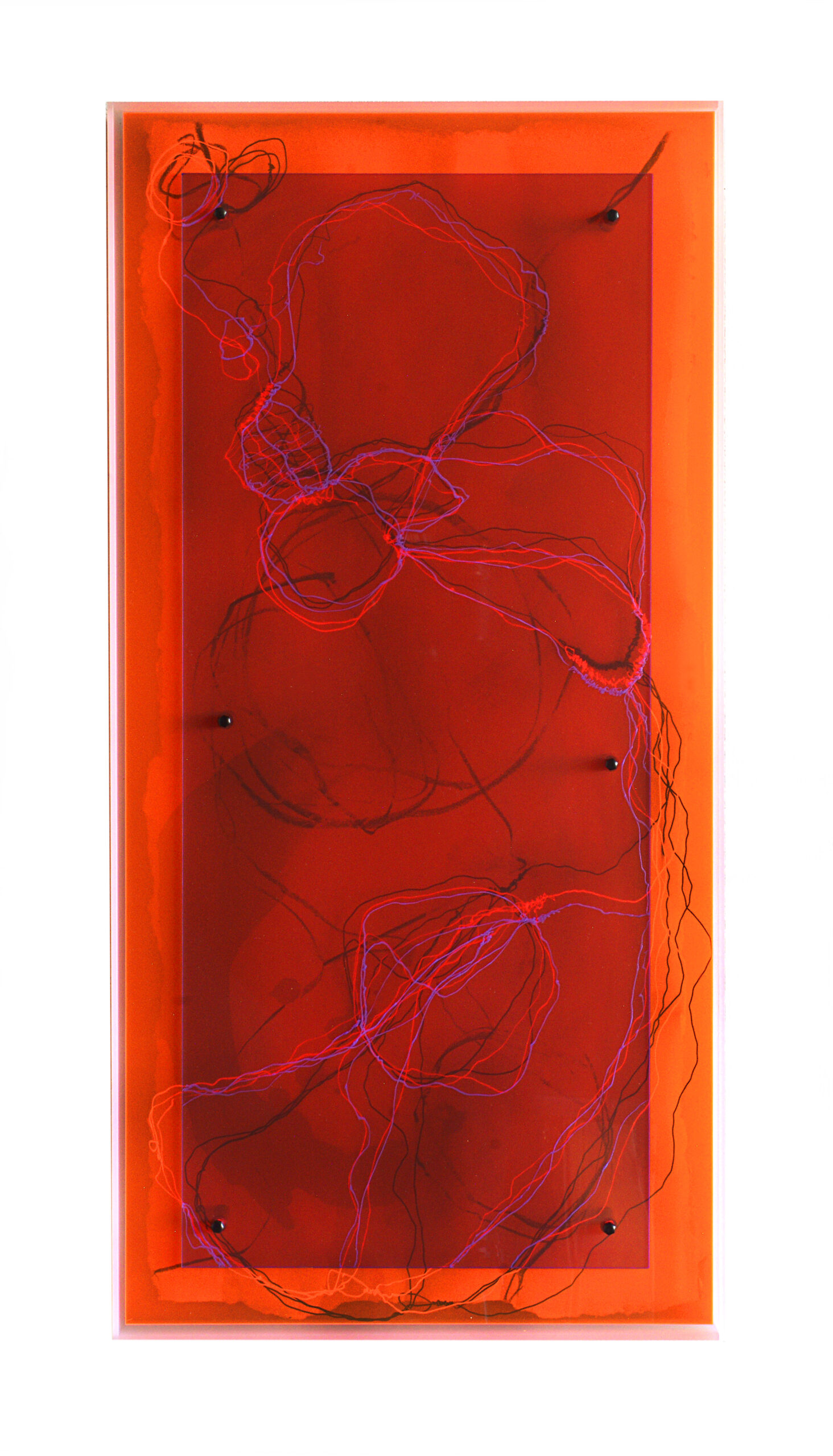 Plexi 3