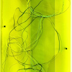 Plexi 5