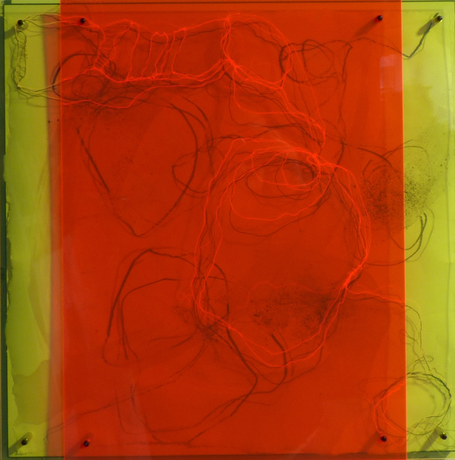 Plexi 8