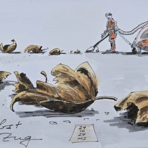 Zug Laub an der Seepromenade 2025