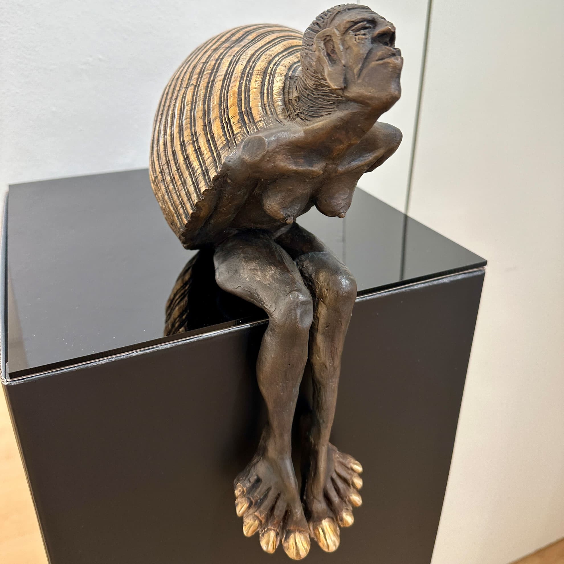 Experimenda, Werk von Tim David Trillsam